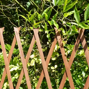 Expanding Wooden Trellis