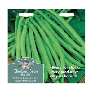 Mr Fothergill's Climbing French Bean Blue Lake